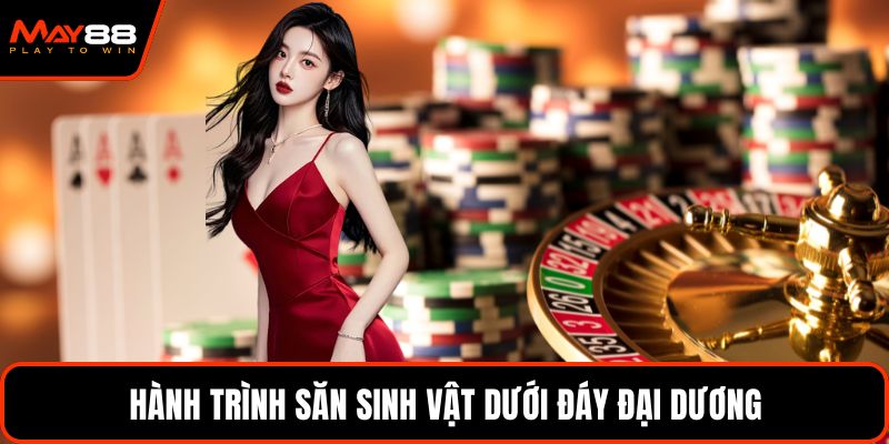 Hành Trình Săn Sinh Vật Dưới Đáy Đại Dương Tại May88